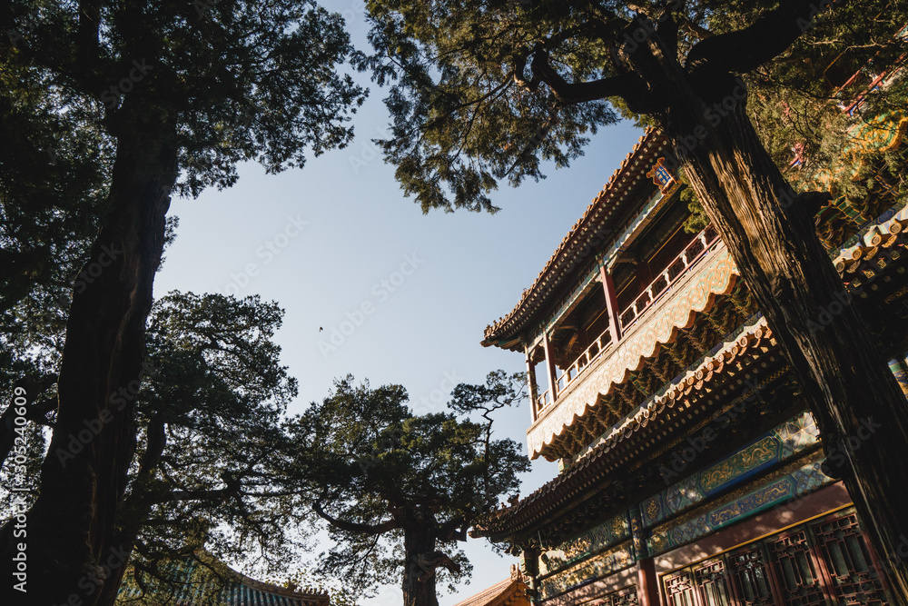 Chinese traditional architecture, Chinese roof top design in Beijing Chinese traditional architecture, Chinese roof top design in Beijing