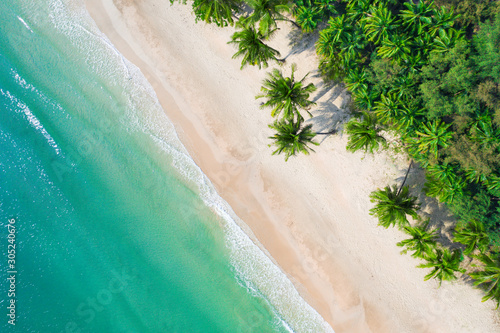 Aerial view beach with coconat palm trees and beautiful blue sea