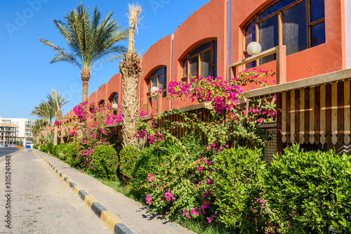 View of the street in Hurghada, Egypt photo