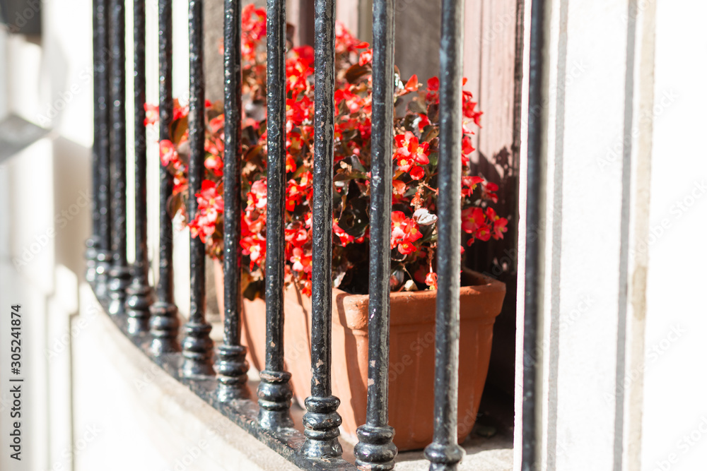 Street garden planter with flowers behind bars on the window