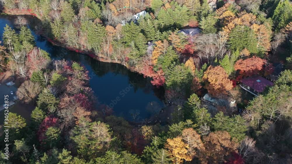 Aerial view of Beautiful Japan autumn at Kumoba Pond with red leaves Aerial view of Beautiful Japan autumn at Kumoba Pond with red leaves