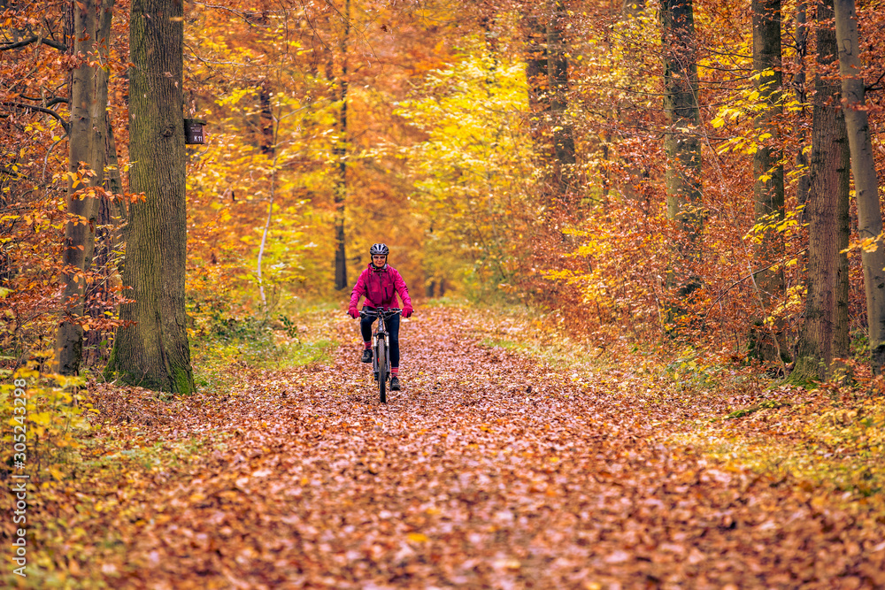 Obraz premium nice senior woman riding her mountainbike on the autumnal forest trails near Stuttgart, beautiful warm colors