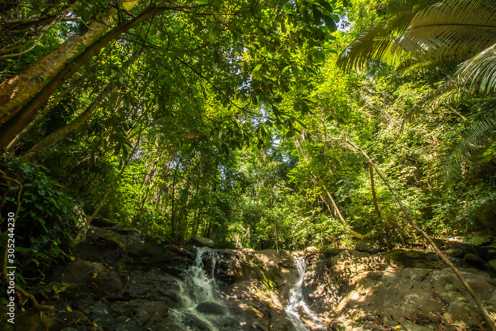 Kathu Waterfall in the tropical forest area In Asia, suitable for walks, nature walks and hiking, adventure photography Of the national park Phuket Thailand,Suitable for travel and leisure. Kathu Waterfall in the tropical forest area In Asia, suitable for walks, nature walks and hiking, adventure photography Of the national park Phuket Thailand,Suitable for travel and leisure.
