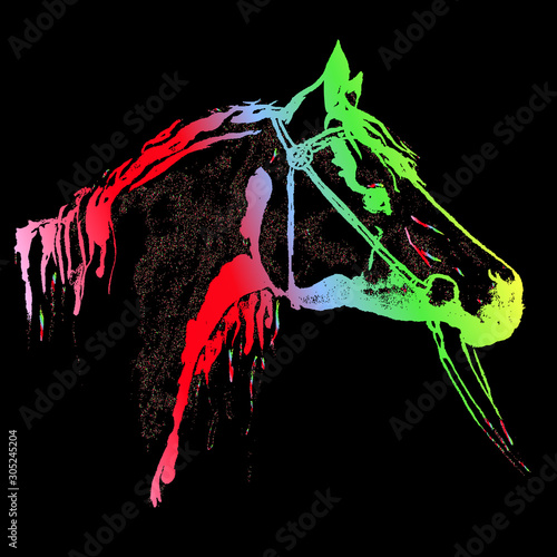 Hand drawing horse head in bridle like engraving silhouette. Rainbow multicolor on black background vector. Equestrian sport grunge texture print style.