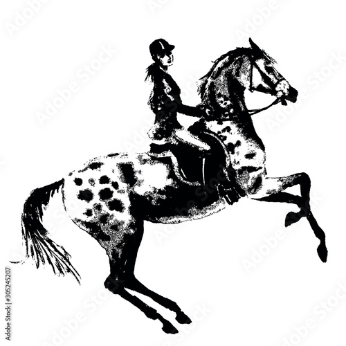 Hand drawing horseback rider and rearing horse like engraving. Horseman silhouette girl on stallion. Black on white background. Equestrian sport antique vintage grunge texture print vector style.