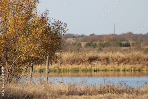 Autumn countryside farm landscape with pond and trees