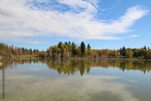 Reflections On The Bay, Elk Island National Park, Alberta