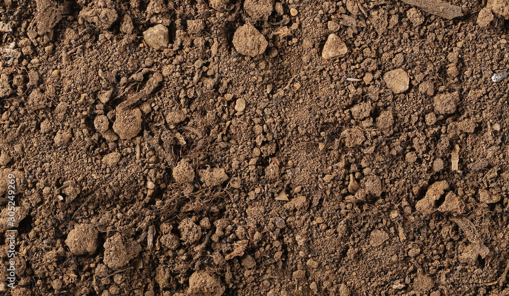 Dirt background and texture, top view Dirt background and texture, top view