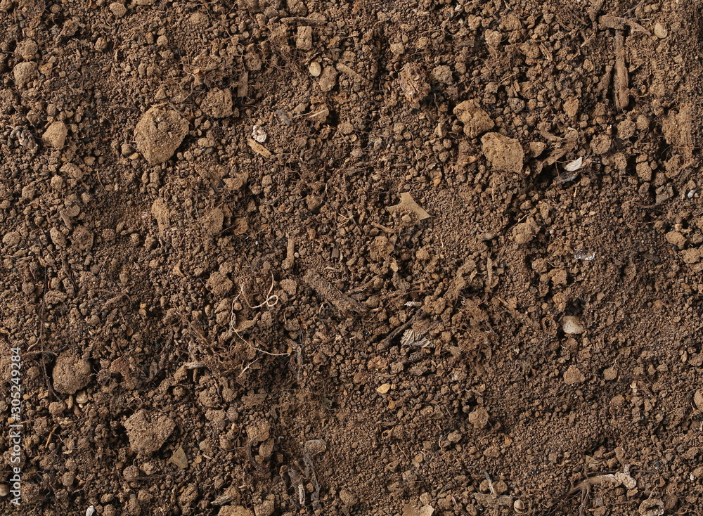Dirt background and texture, top view Dirt background and texture, top view