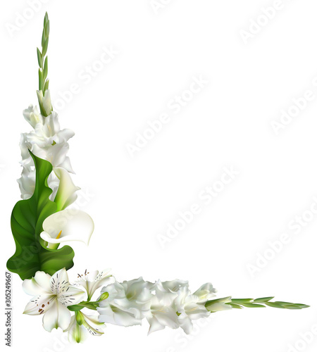 Floral background. Calla. Lilies. Gladiolus. Green leaves. White. Isolated. Flowers.