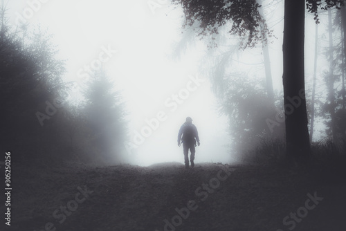 Spaziergänger im Wald mit Nebel