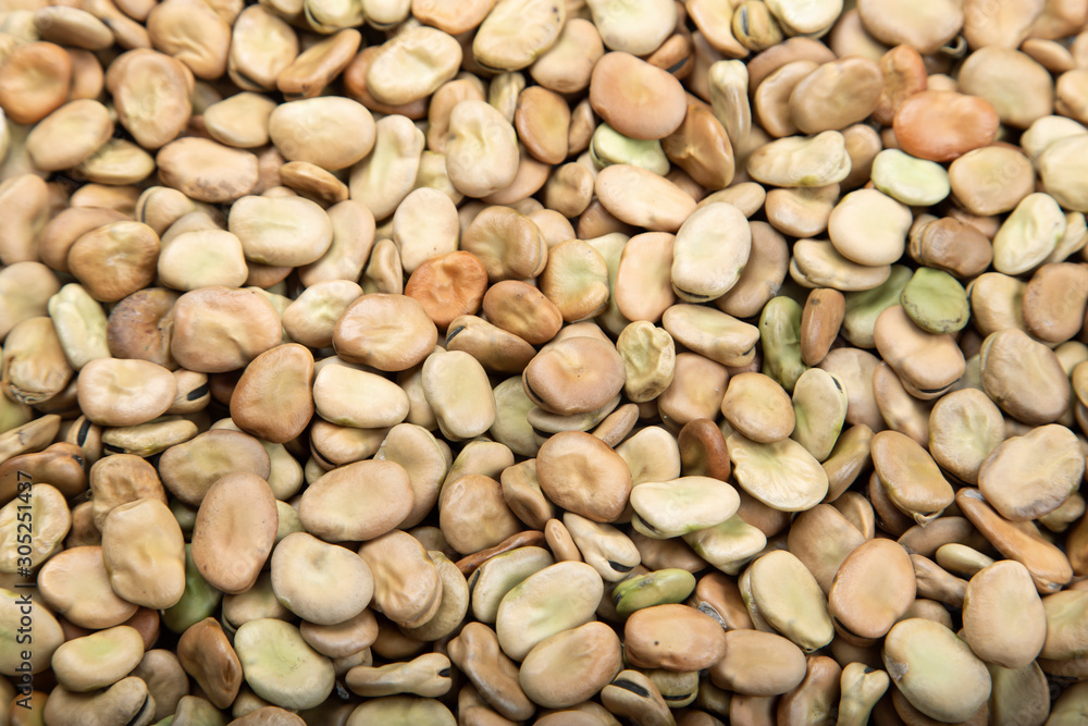 broad beans are scattered as a background broad beans are scattered as a background