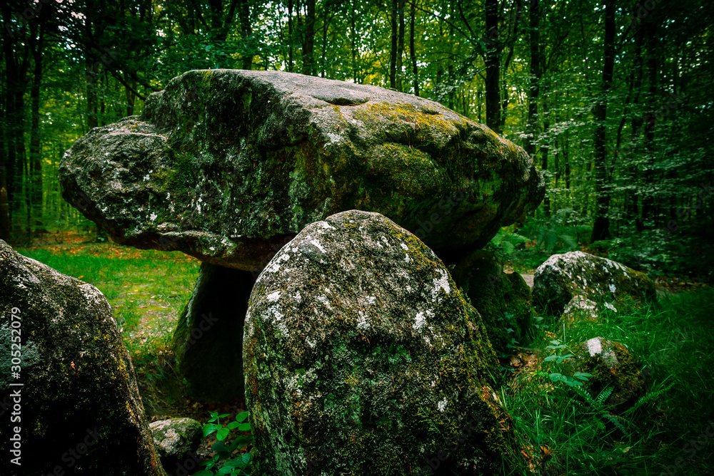 The Pierre Courcoulée a dolmen found in the forest of Fougères in Brittany The Pierre Courcoulée a dolmen found in the forest of Fougères in Brittany