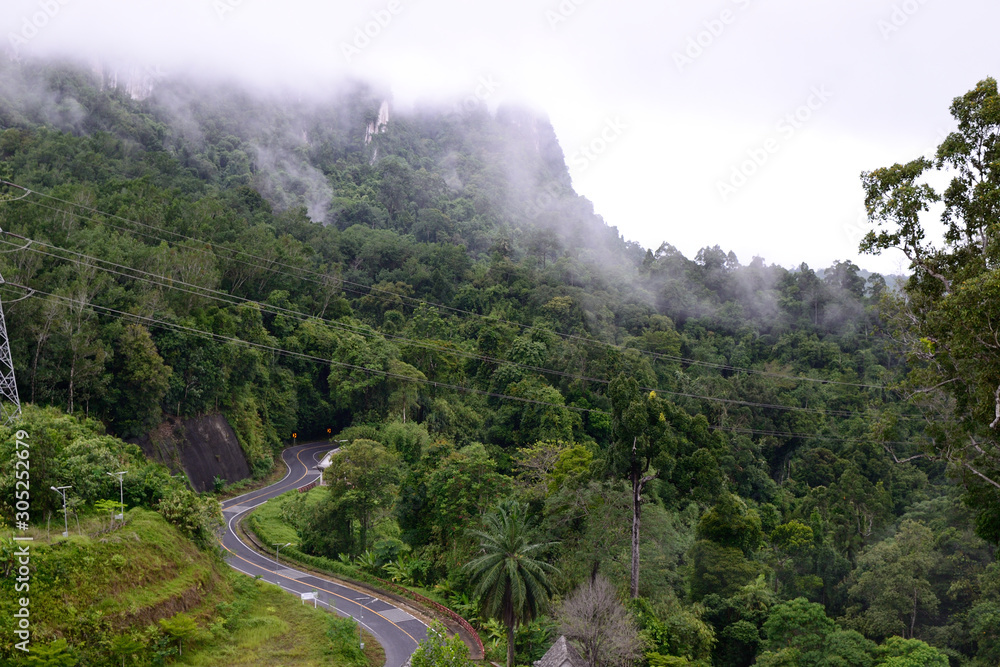 Cloudy green curvy road in mountain forest in Thailand Cloudy green curvy road in mountain forest in Thailand