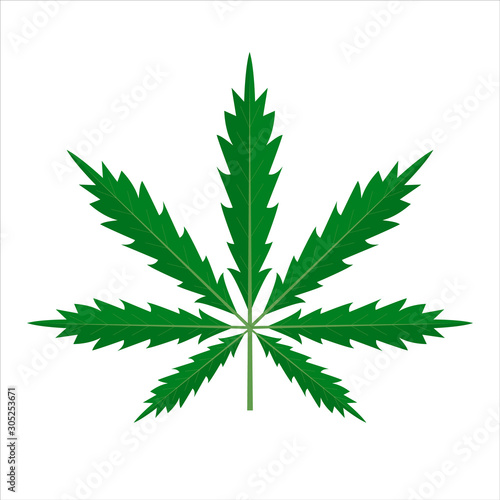 Green cannabis leaf vector isolated. Marijuana plant, illegal drug