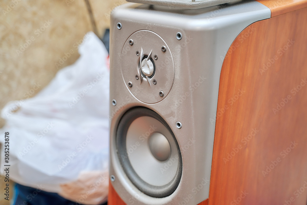 damaged tweeter on speaker system. bad, substandard sound. poor quality