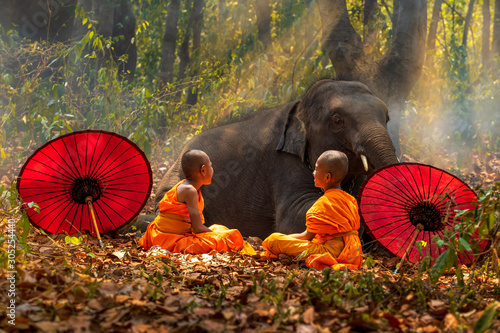 Canvas Print Two Novices or monks spread red umbrellas and elephants