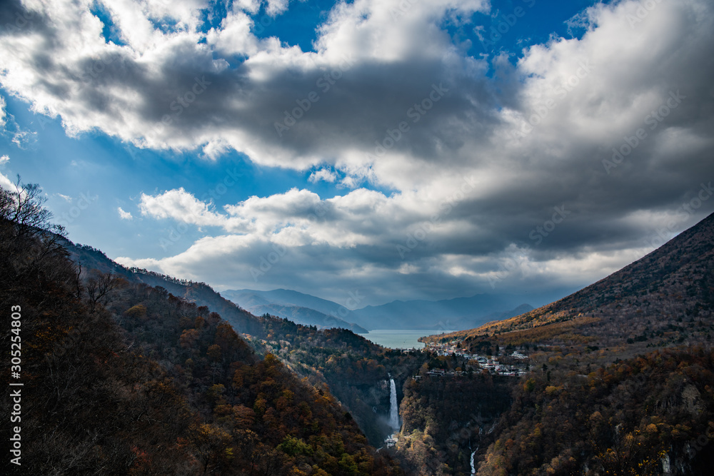 Fototapeta premium 秋