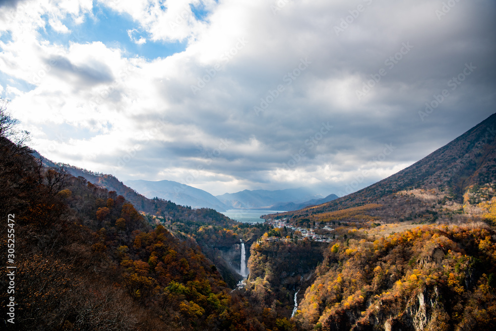 Fototapeta premium 秋