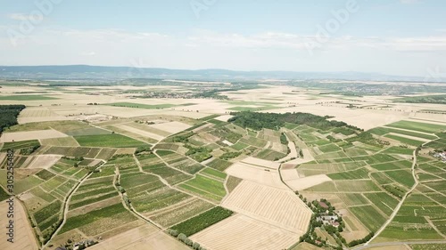 Descending Aerial Drone Shot over the Wineyards Hills of a Small Wine Village in Germany photo