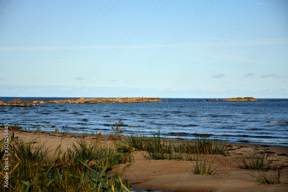 The wild shore of the Baltic Sea in Estonia
