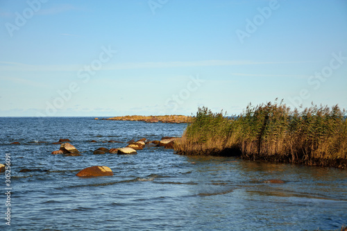 Fototapeta Naklejka Na Ścianę i Meble -  The wild shore of the Baltic Sea in Estonia