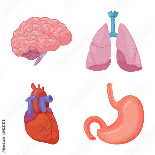 Isolated object of body and human sign. Collection of body and medical vector icon for stock.