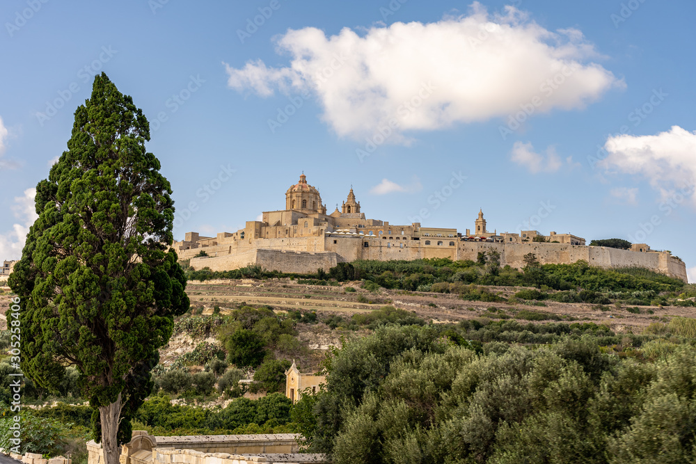 view of the ancient town mdina, malta island