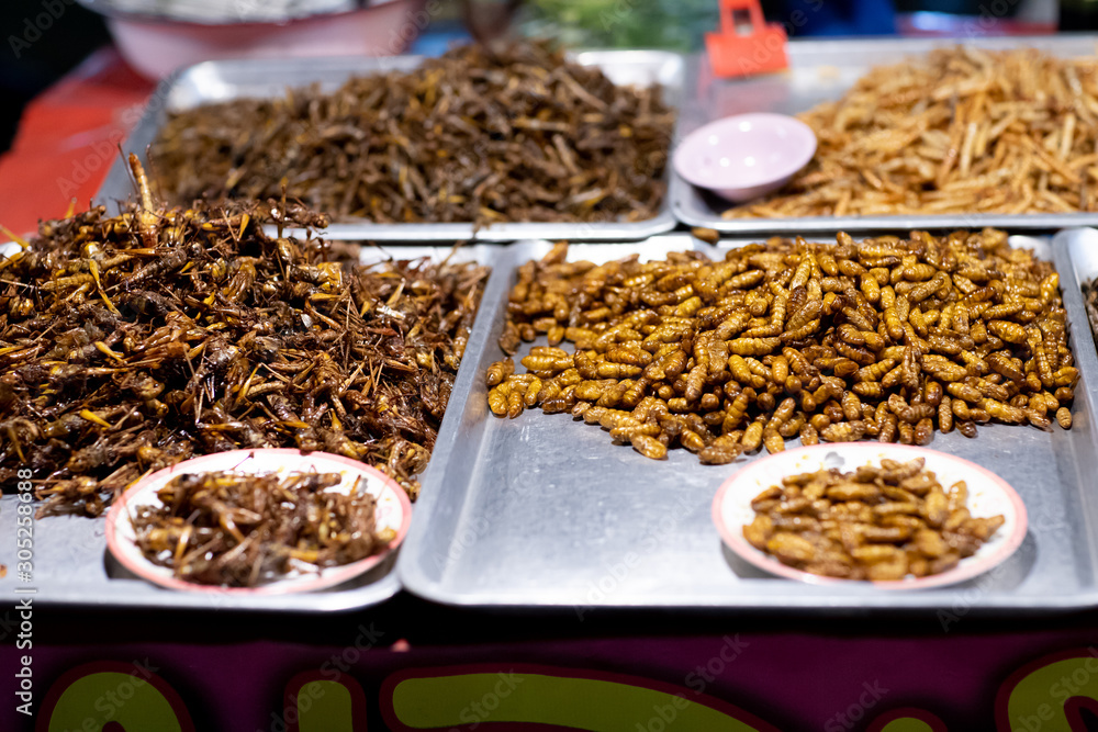 Assorted fried insects Street food of Thailand.