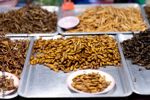 Assorted fried insects Street food of Thailand. © K.Pornsatid
