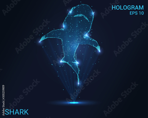 Hologram shark. A holographic projection of a shark. Flickering energy flux of particles. Scientific design water world.