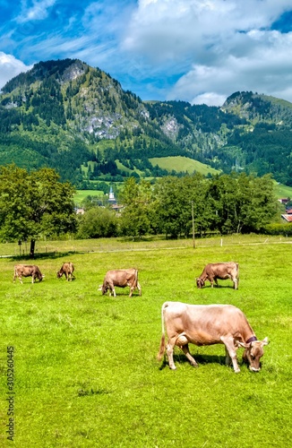 Bavaria. Allgäu © hifografik