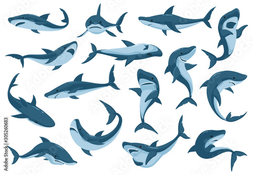 Sea shark vector cartoon set icon. Vector illustration sea fish of shark on white background .Isolated cartoon icon ocean animal.