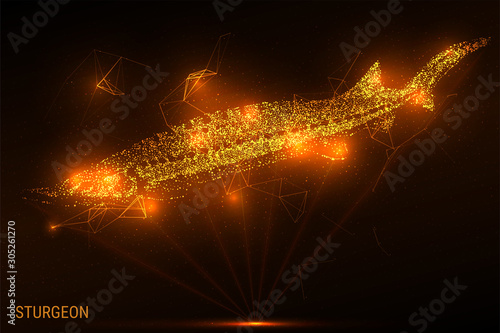 Light rays sturgeon. Hologram sturgeon. Golden glitter beluga. Sturgeon of gold dust and particles. Low poly vector illustration of beluga.