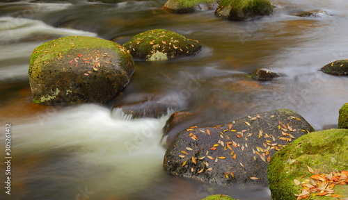 River Dart near Newbridge in autumn. Dartmoor National Park in Devon