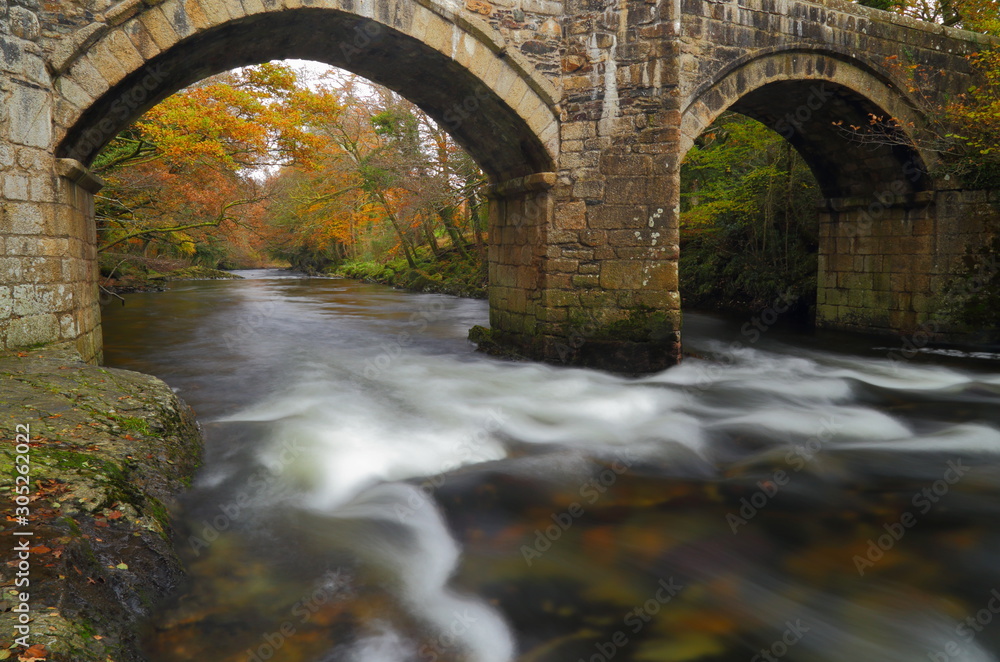 Fototapeta premium River Dart near Newbridge in autumn. Dartmoor National Park in Devon
