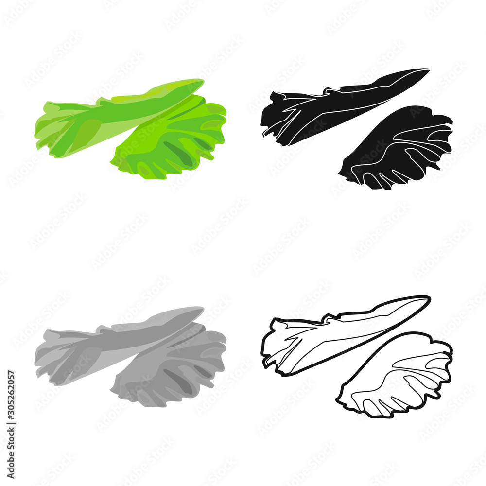 Obraz premium Vector illustration of lettuce and leaf logo. Web element of lettuce and green stock symbol for web.
