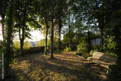 First rays of the sun. photo