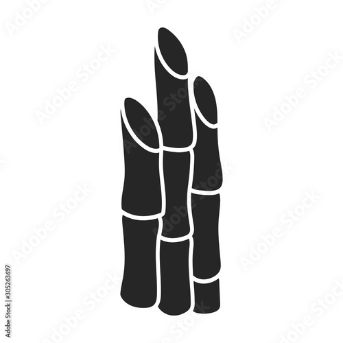 Stem of sugar cane vector icon.Black vector icon isolated on white background stem of sugar cane .