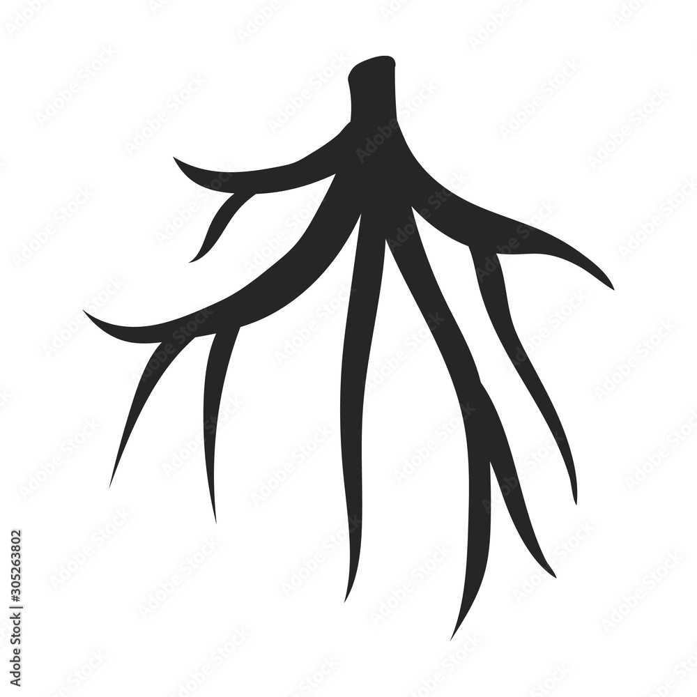 Root of sugarcane vector icon.Black vector icon isolated on white background root of sugarcane . Root of sugarcane vector icon.Black vector icon isolated on white background root of sugarcane .