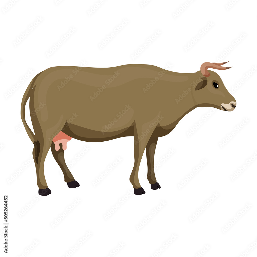 Cow vector icon.Cartoon vector icon isolated on white background cow. Cow vector icon.Cartoon vector icon isolated on white background cow.