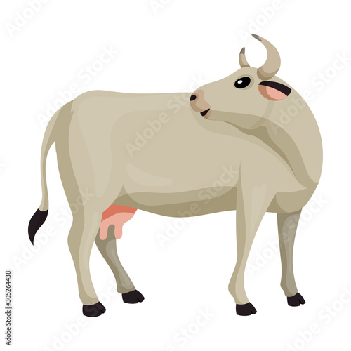 Cow of animal vector icon.Cartoon vector icon isolated on white background cow of animal.