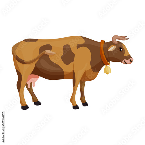 Cow of animal vector icon.Cartoon vector icon isolated on white background cow of animal.