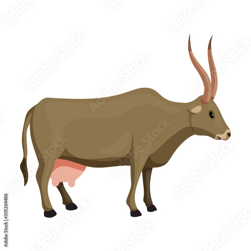 Cow of animal vector icon.Cartoon vector icon isolated on white background cow of animal.