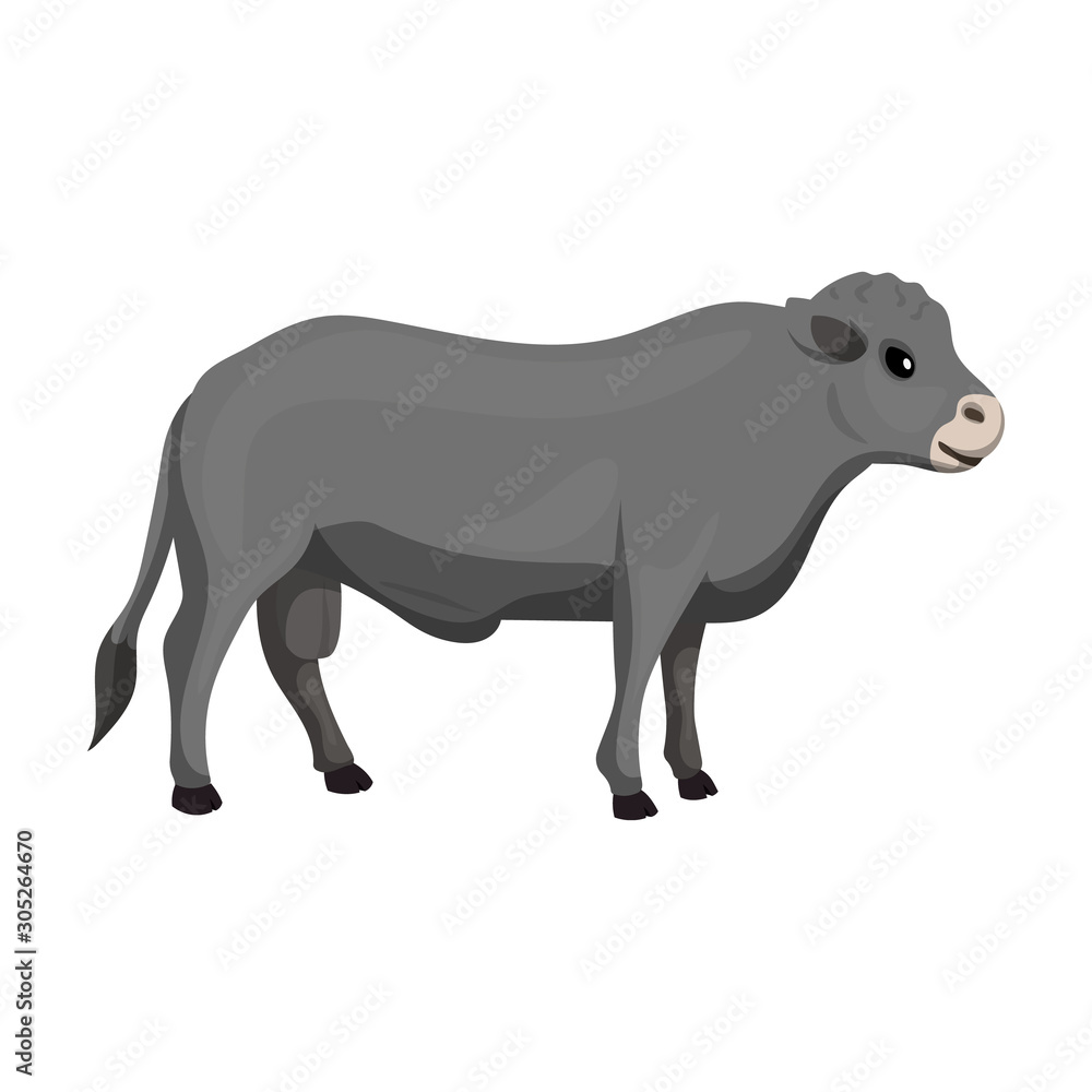 Bull vector icon.Cartoon vector icon isolated on white background bull.