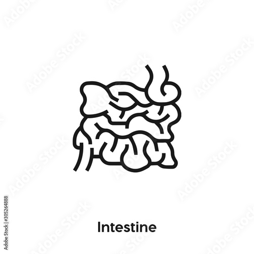intestine icon vector sign symbol