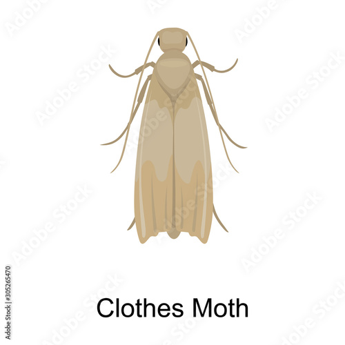 Clothes moth vector icon.Cartoon vector icon isolated on white background clothes moth.