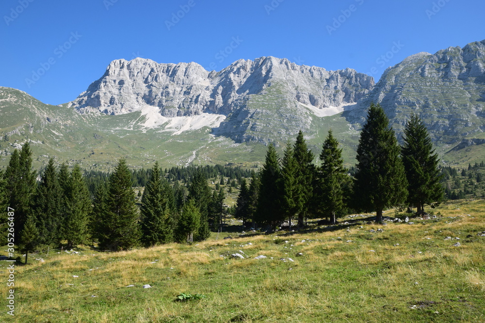 Friuli - altopiano del Montasio