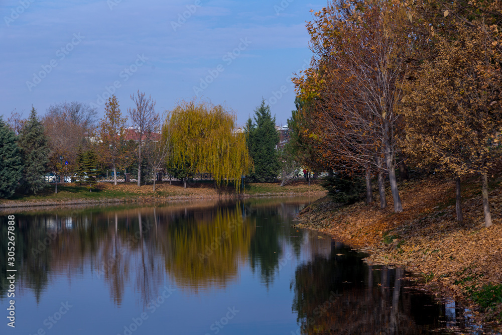 view of a natural park by the river on a foggy autumn morning view of a natural park by the river on a foggy autumn morning