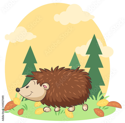 Niedlicher Igel - Vektor-Illustration